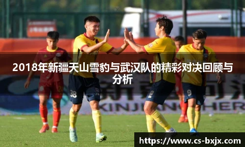 2018年新疆天山雪豹与武汉队的精彩对决回顾与分析